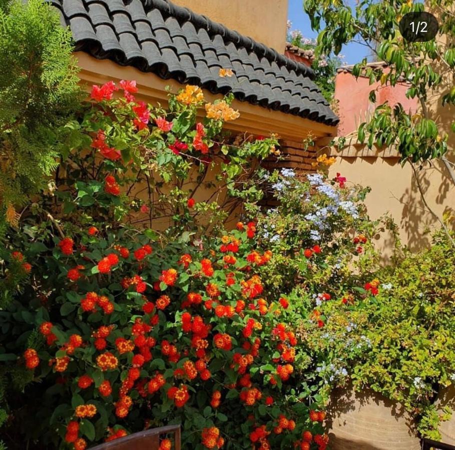 Zouhour Affittacamere