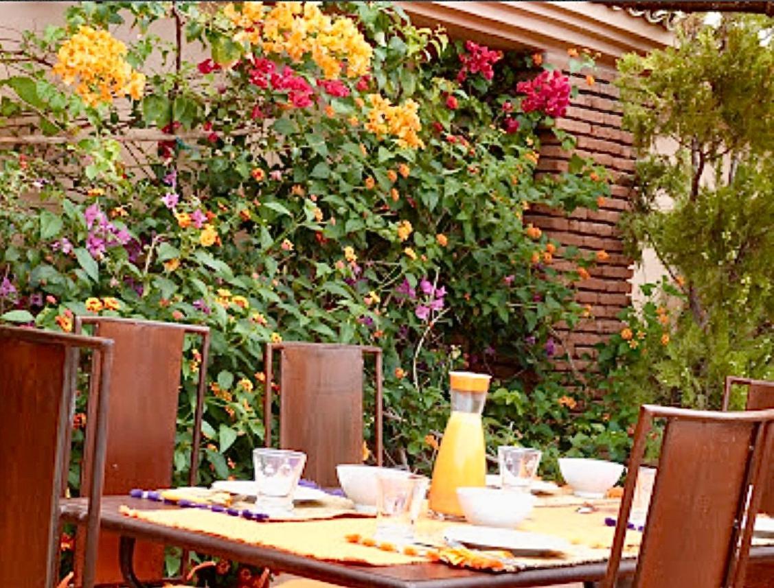 Zouhour 3*