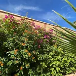 Riad Zouhour