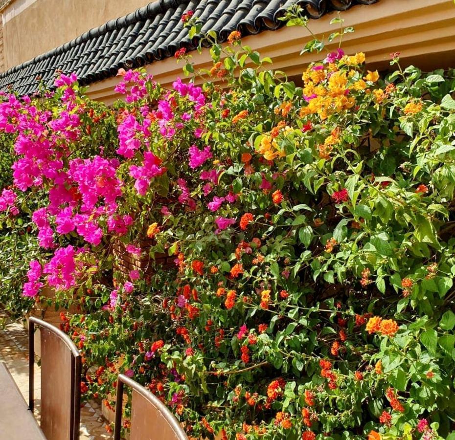 Zouhour
