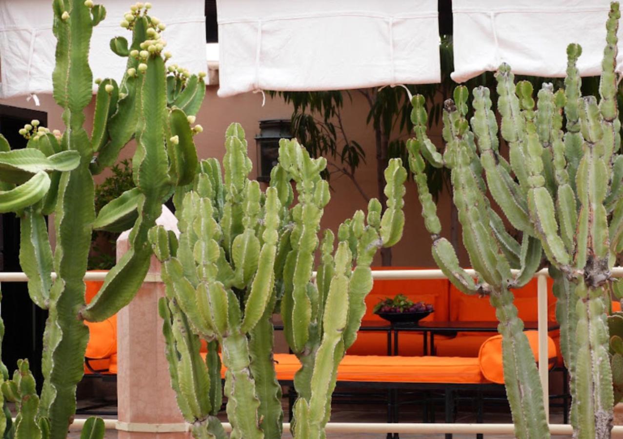 Zouhour 3* Marrakesh