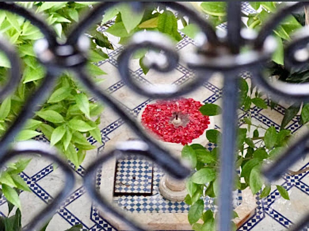 Zouhour Maison d'hôtes Marrakesh