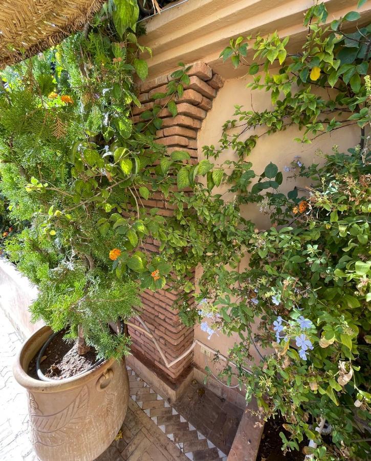 Zouhour Marrakesh