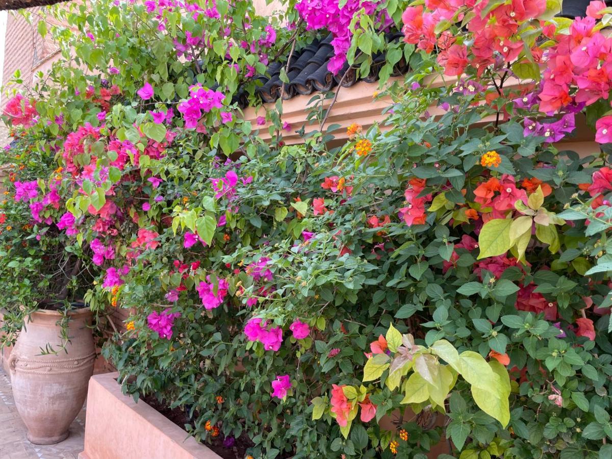 Zouhour Marrakesh