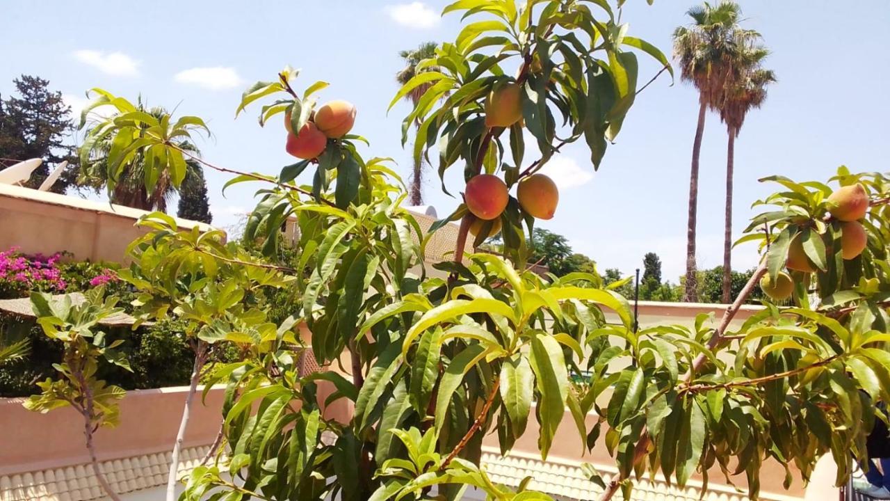 Zouhour 3* Marrakesh