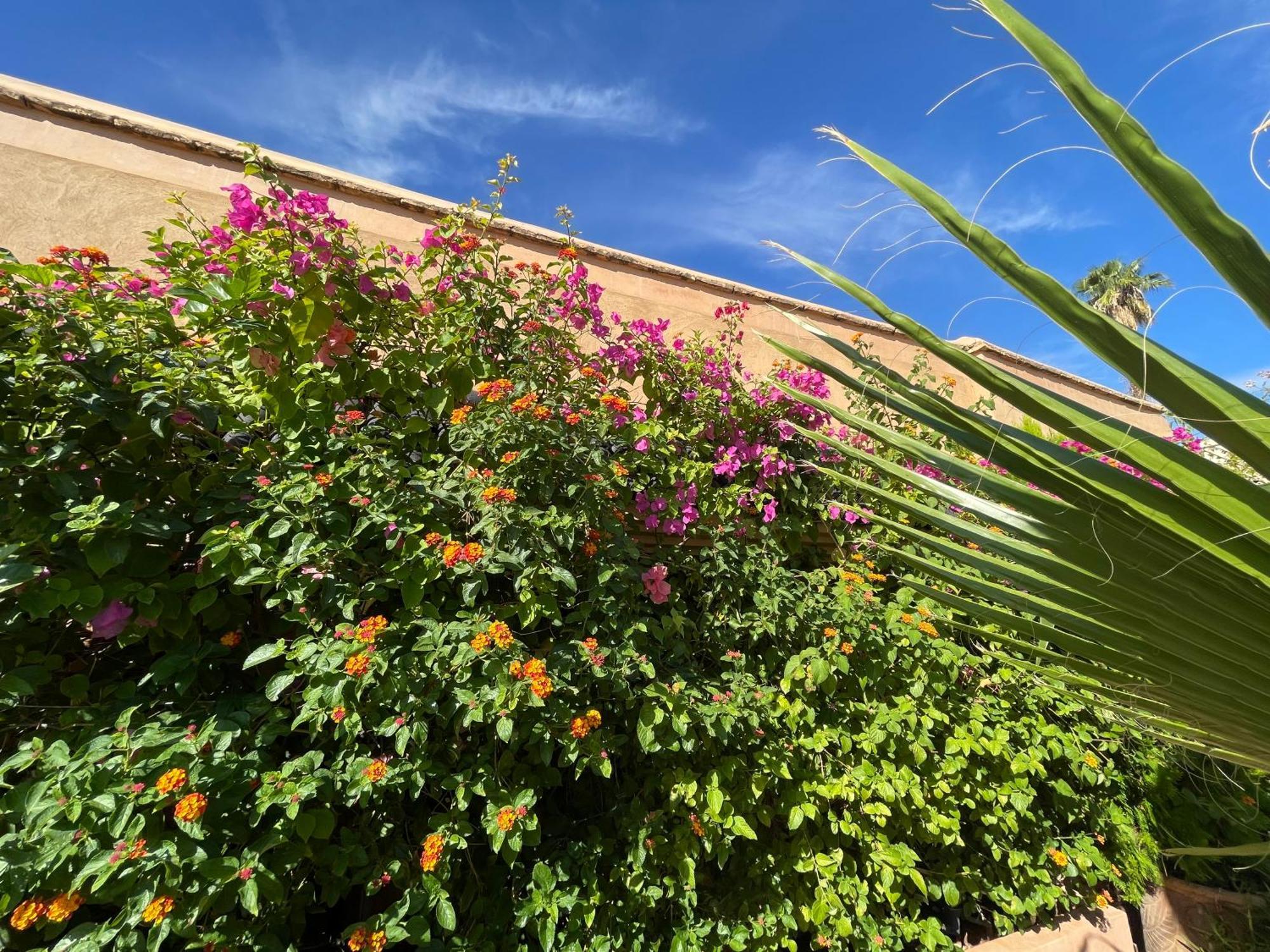 Zouhour Maison d'hôtes