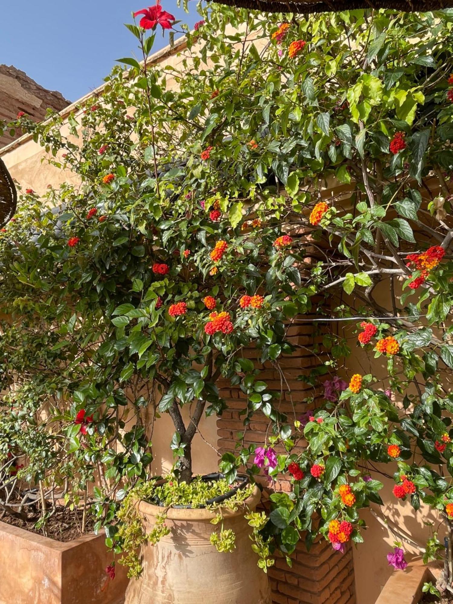Zouhour Maison d'hôtes