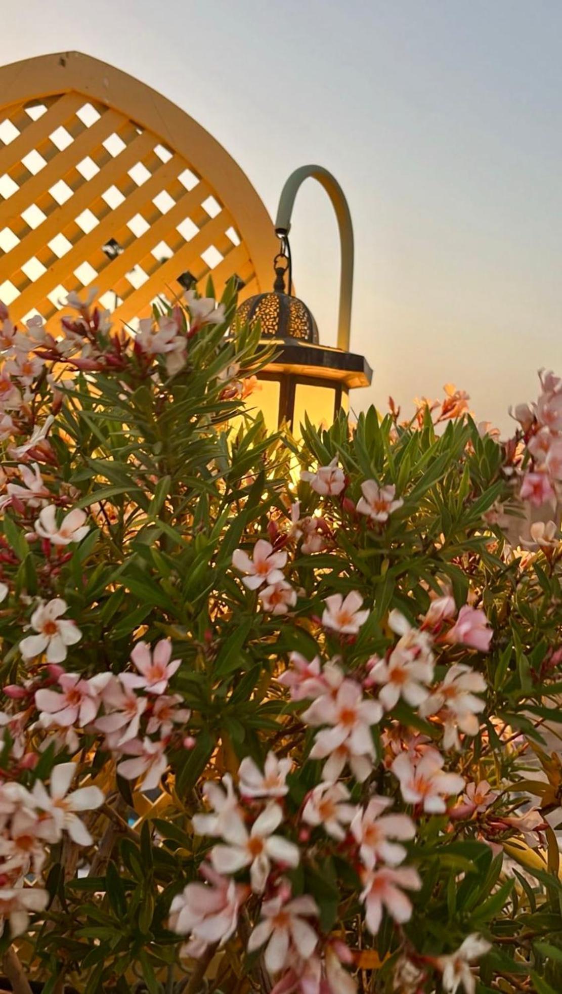 Zouhour Gasthof 3*
